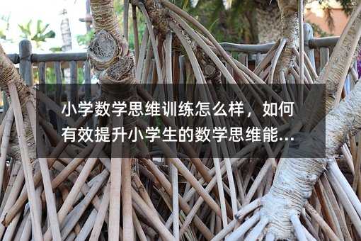 小学数学思维训练怎么样,如何有效提升小学生的数学思维能力?