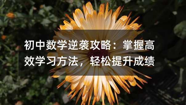 初中数学逆袭攻略:掌握高效学习方法,轻松提升成绩