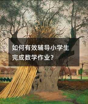 如何有效辅导小学生完成数学作业?
