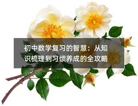 初中数学复习的智慧:从知识梳理到习惯养成的全攻略