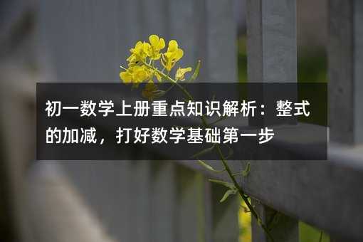 初一数学上册重点知识解析:整式的加减,打好数学基础第一步