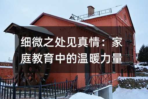 细微之处见真情:家庭教育中的温暖力量