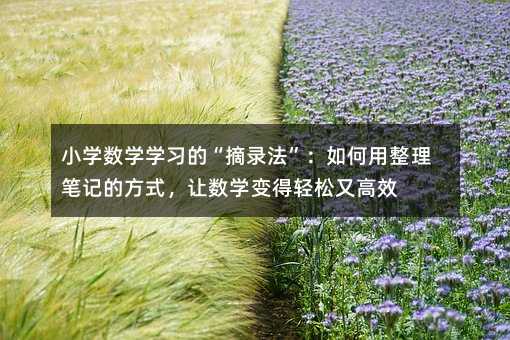 小学数学学习的“摘录法”:如何用整理笔记的方式,让数学变得轻松又高效