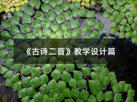 《古诗二首》教学设计篇