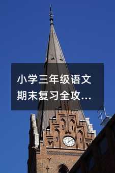 Сѧ꼶ĩϰȫԣθЧ֪ʶӦԿ