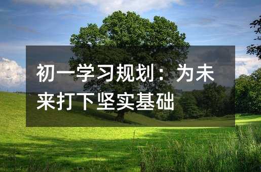 初一学习规划:为未来打下坚实基础