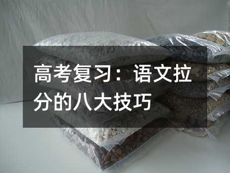 高考复习:语文拉分的八大技巧