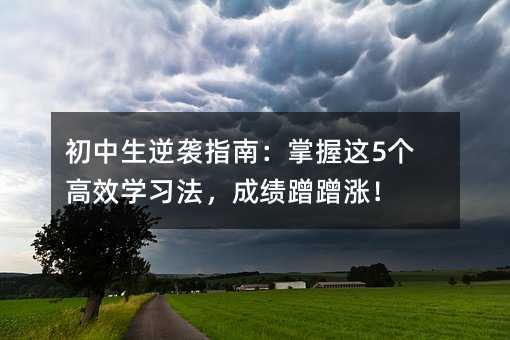 初中生逆袭指南:掌握这5个高效学习法,成绩蹭蹭涨!