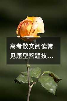 高考散文阅读常见题型答题技巧及套路