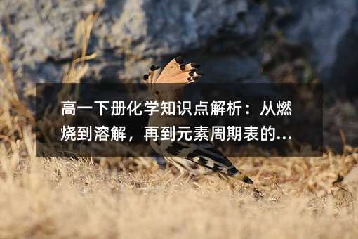 高一下册化学知识点解析:从燃烧到溶解,再到元素周期表的秘密