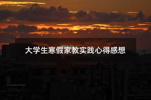 大学生寒假家教实践心得感想