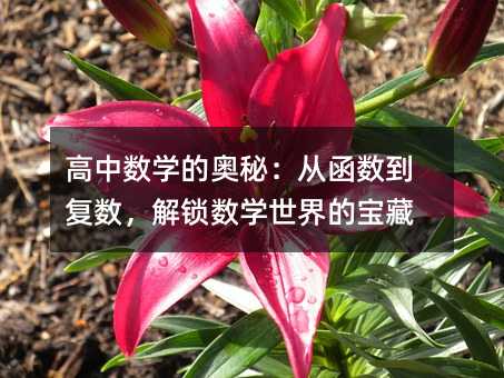 高中数学的奥秘:从函数到复数,解锁数学世界的宝藏
