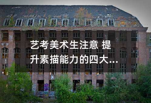 艺考美术生注意 提升素描能力的四大要点