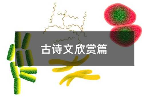 古诗文欣赏篇