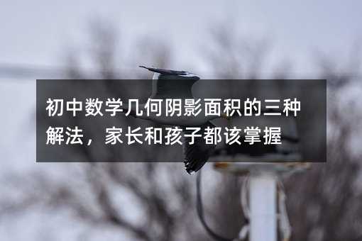初中数学几何阴影面积的三种解法,家长和孩子都该掌握