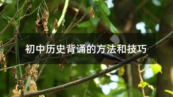 初中历史背诵的方法和技巧