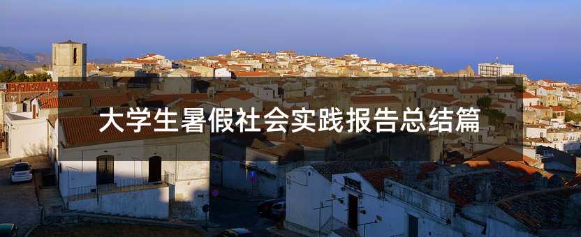大学生暑假社会实践报告总结篇