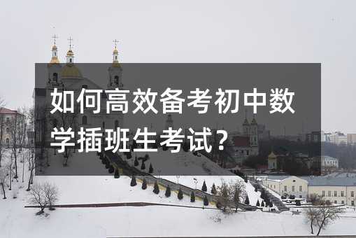 如何高效备考初中数学插班生考试?