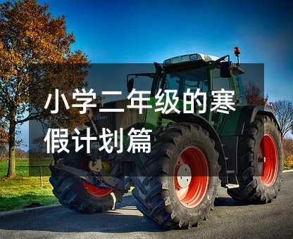 小学二年级的寒假计划篇