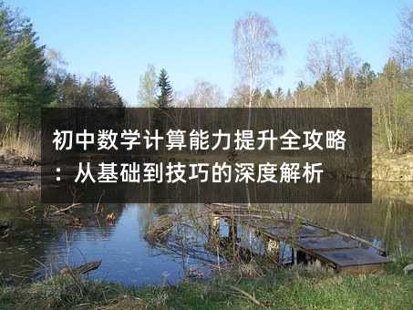 初中数学计算能力提升全攻略:从基础到技巧的深度解析