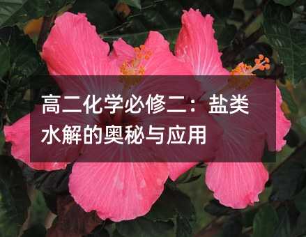 高二化学必修二:盐类水解的奥秘与应用