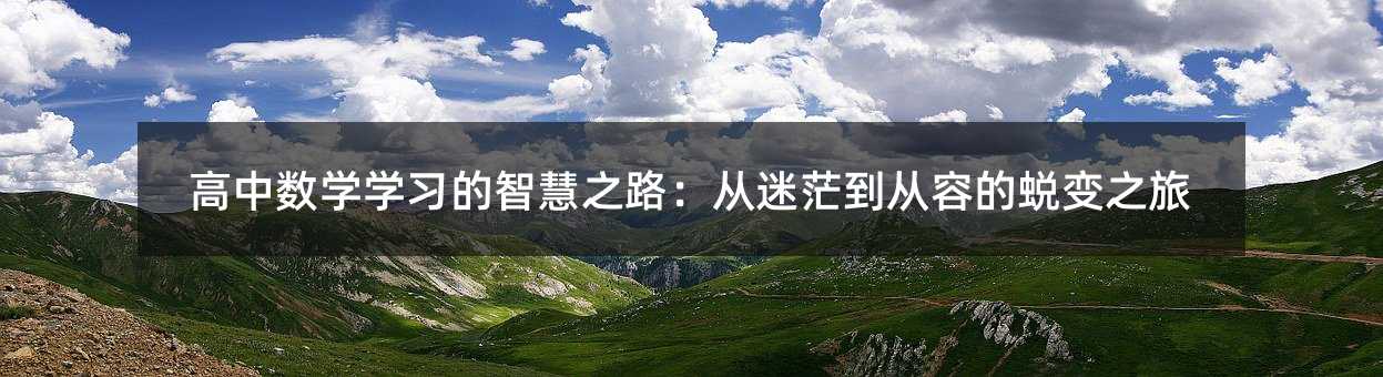 高中数学学习的智慧之路:从迷茫到从容的蜕变之旅