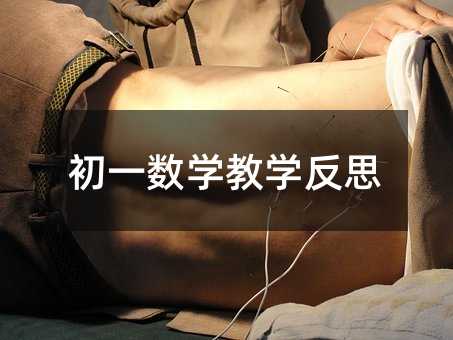 初一数学教学反思