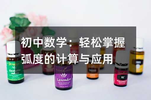 初中数学:轻松掌握弧度的计算与应用