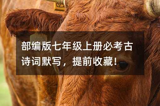 部编版七年级上册必考古诗词默写,提前收藏!