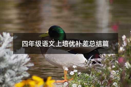 四年级语文上培优补差总结篇
