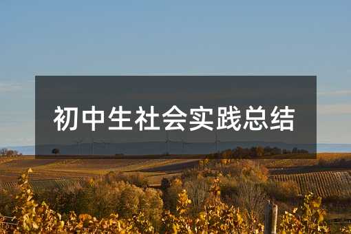 初中生社会实践总结