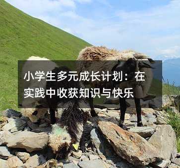 小学生多元成长计划:在实践中收获知识与快乐