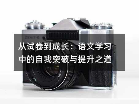 从试卷到成长:语文学习中的自我突破与提升之道