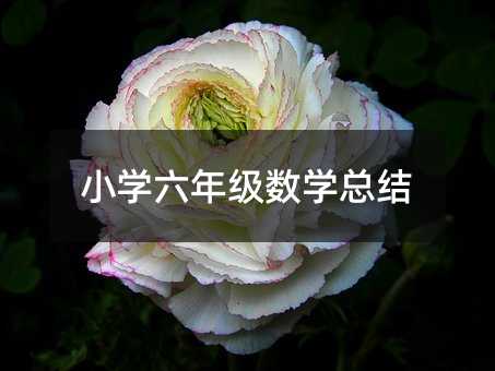 小学六年级数学总结