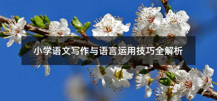 小学语文写作与语言运用技巧全解析