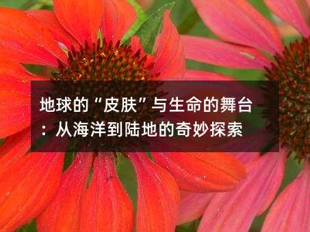 地球的“皮肤”与生命的舞台:从海洋到陆地的奇妙探索