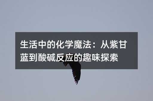 生活中的化学魔法:从紫甘蓝到酸碱反应的趣味探索