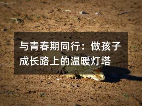 与青春期同行:做孩子成长路上的温暖灯塔