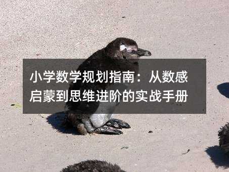 小学数学规划指南:从数感启蒙到思维进阶的实战手册