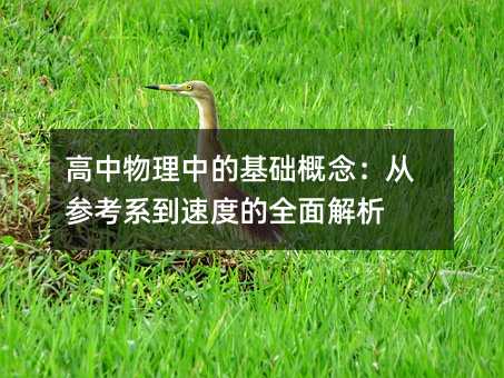 高中物理中的基础概念:从参考系到速度的全面解析