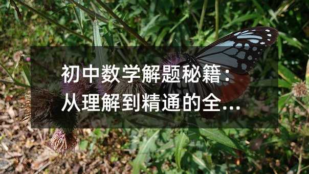 初中数学解题秘籍:从理解到精通的全攻略