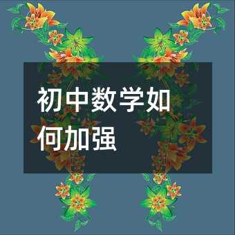 初中数学如何加强