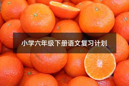 小学六年级下册语文复习计划