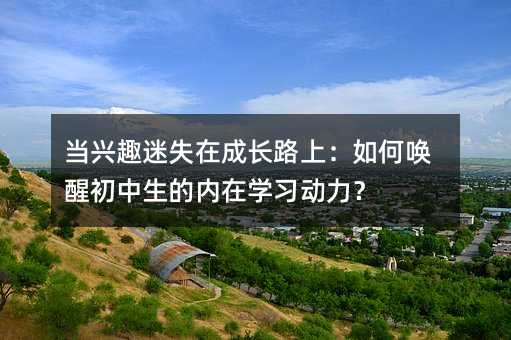 当兴趣迷失在成长路上:如何唤醒初中生的内在学习动力?