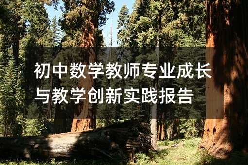 初中数学教师专业成长与教学创新实践报告