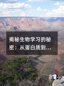 揭秘生物学习的秘密:从蛋白质到细胞膜,高三生物知识点全解析