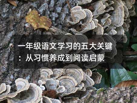 一年级语文学习的五大关键:从习惯养成到阅读启蒙