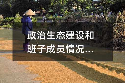 政治生态建设和班子成员情况报告