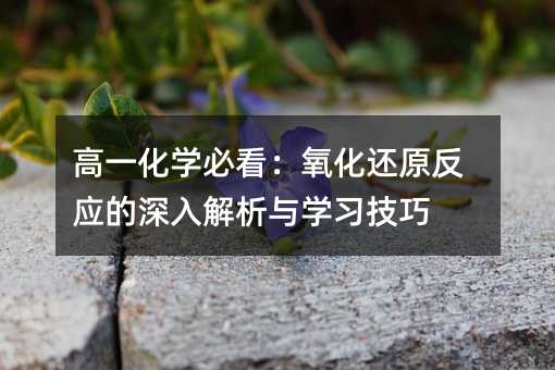 高一化学必看:氧化还原反应的深入解析与学习技巧