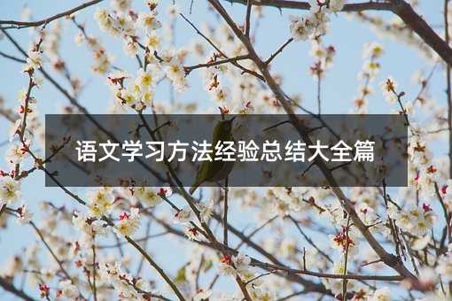 语文学习方法经验总结大全篇